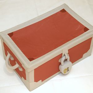 rot-weiße Schulungs-Schatzkiste von Barbara für Schulungsmaterialien Diabetes und Adipositas