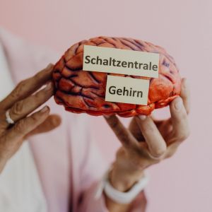 Barbara mit Modell eines Gehirns aus der Schulungs-Schatzkiste