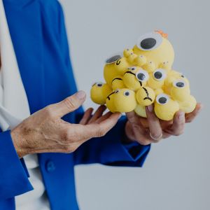 Barbaras Schulungs-Schatzkiste Modell